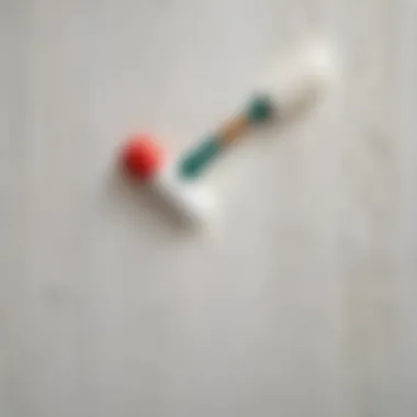 Exploring Various Wallpaper Adhesives Different types of wallpaper glue