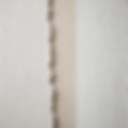 Close-up of wallpaper seams showing separation