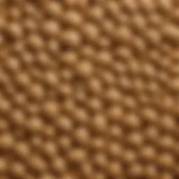 A close-up view of agritex material showcasing its texture.