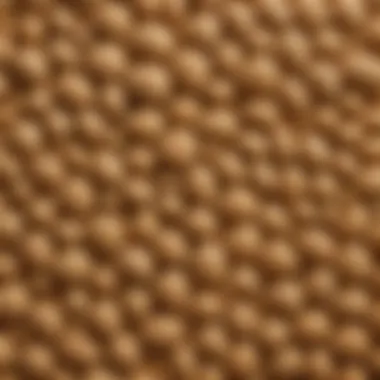 A close-up view of agritex material showcasing its texture.