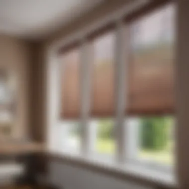 Installation of blinds in a well-lit room