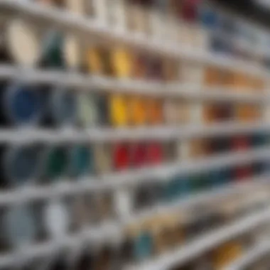 Exterior paint options displayed in a store