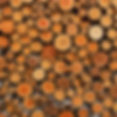 Diverse Firewood Types for Optimal Grilling An array of different types of firewood displayed for selection
