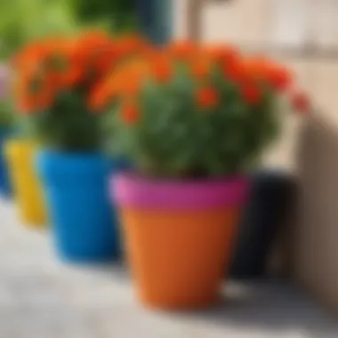 Colorful flower pots in a vibrant garden setting