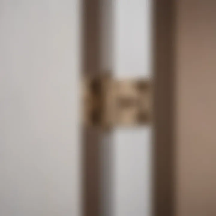 Close-up view of a high-quality hinge demonstrating its robust construction and finish.
