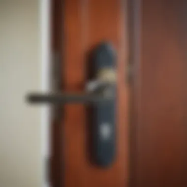 High-Security Mortise Lock Close-up of a high-security mortise lock installed on a front door