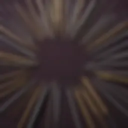 Variety of sewing needles displayed on a fabric background.