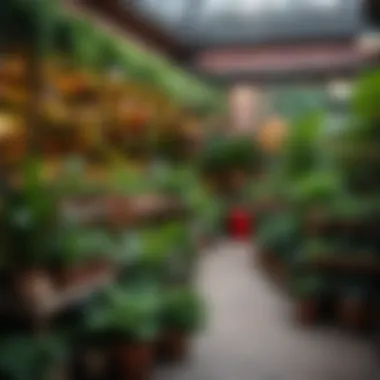 Cozy Market for Exotic Plants A cozy market in Moscow specializing in exotic plants.
