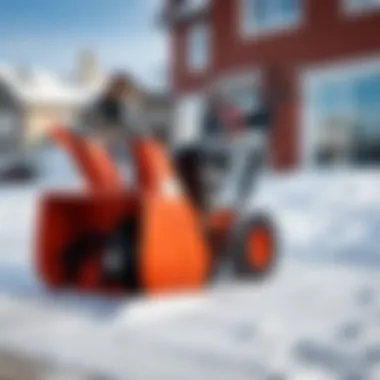 A comparison chart of online and offline snowblower prices