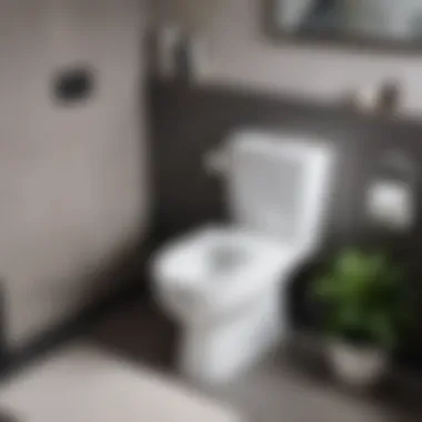 Exploring Online Options for Toilet Seats An online shopping platform displaying various toilet seats