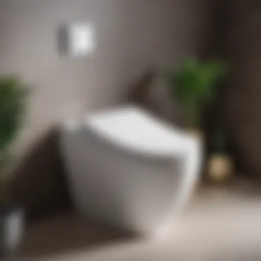 Modern Aesthetics of Toilet Seats A stylish toilet seat design showcasing modern aesthetics