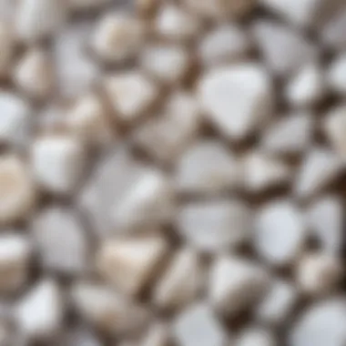 Varieties of White Quartz Samples Different types of white quartz samples displayed