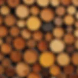 A close-up view of different types of wood oils showcasing their texture and color.