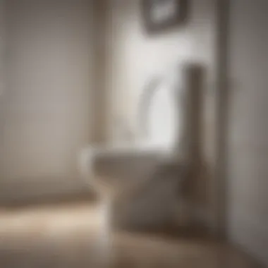 Demonstration of proper bidet usage Using a bidet correctly