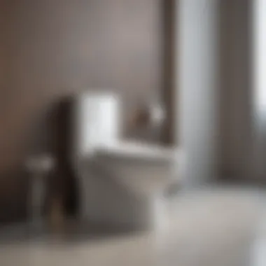 Variety of bidet designs for every taste Different types of bidets